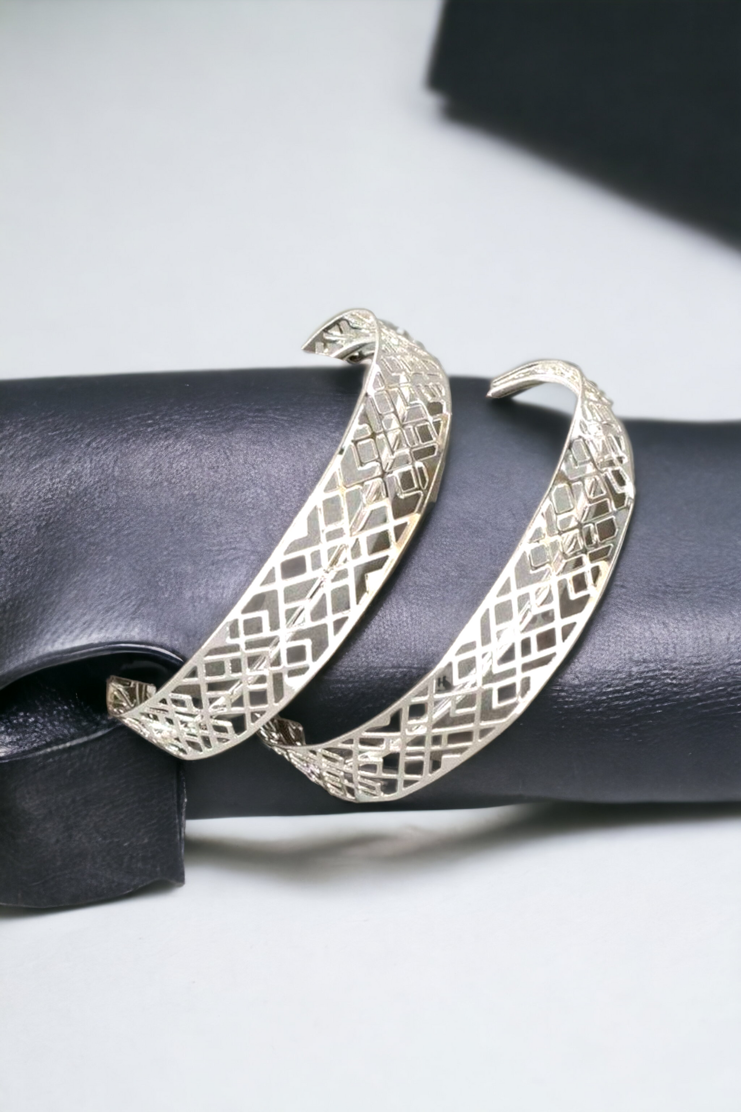 Contemporary hoop earrings (Jewelry)