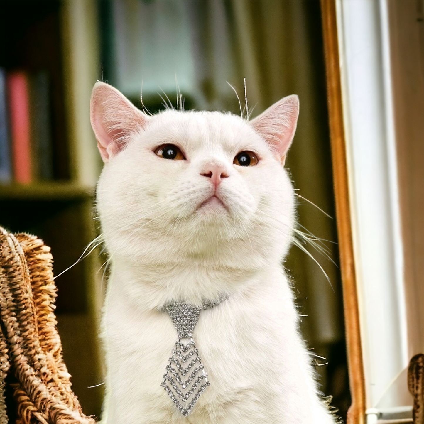 Perrfect rhinestine pet collar