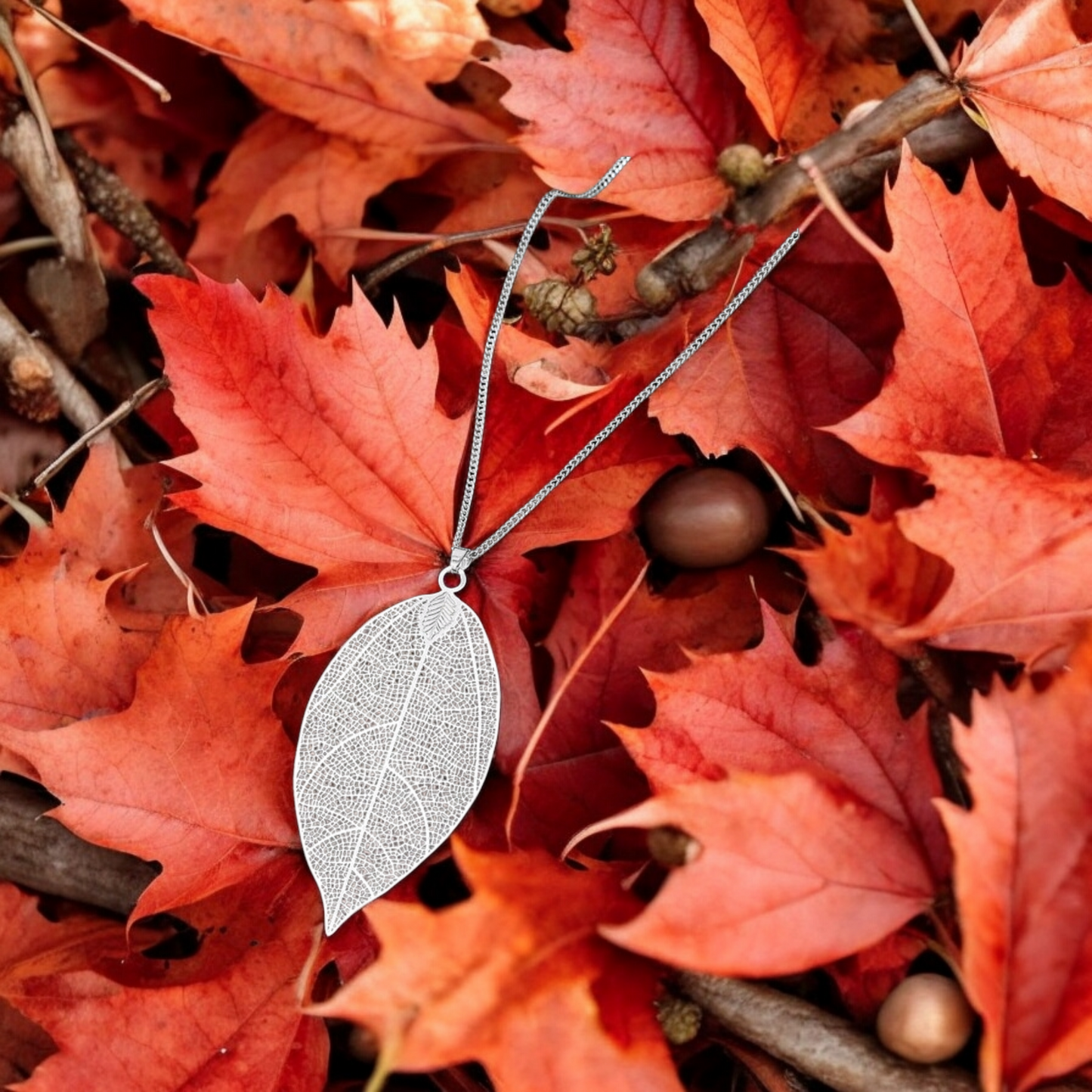 Silver autumn ๐ breeze necklace (necklace)