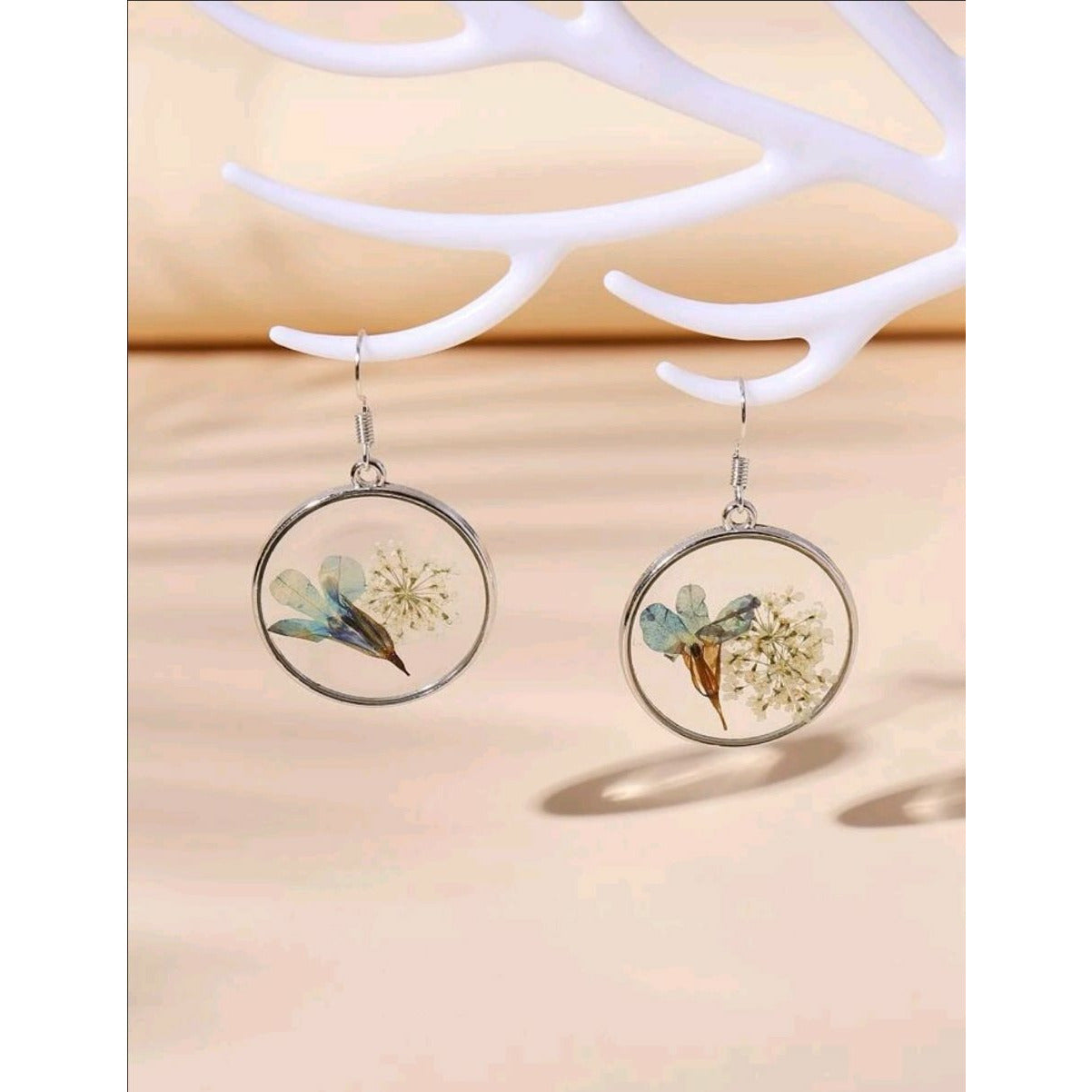 Preserved earrings (Jewelry)