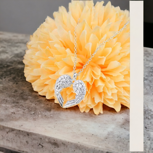 Angel wings necklace (necklace)