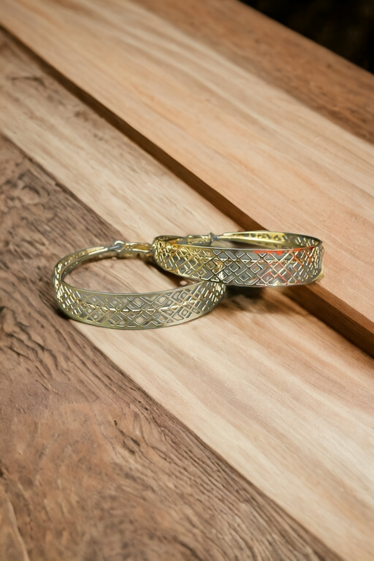 Contemporary hoop earrings (Jewelry)