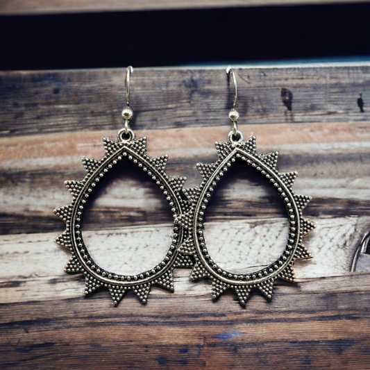 Spiked earrings (Jewelry)