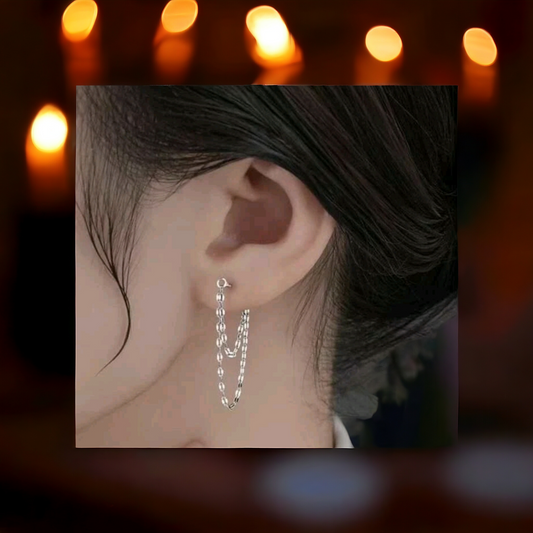 Double link silver earrings (earrings)